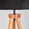 Flemming Staande lamp Natuurlijke kleuren, Zwart, 1-licht Flemming Staande lamp Natuurlijke kleuren, Zwart, 1-licht