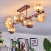 Chehalis Plafondlamp, Kogellampje Amber, Rookkleurig, 8-lichts