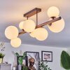 Chehalis Plafondlamp, Kogellampje Wit, 8-lichts