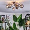 Chehalis Plafondlamp, Kogellampje Duidelijk, Rookkleurig, 6-lichts Chehalis Plafondlamp, Kogellampje Duidelijk, Rookkleurig, 6-lichts