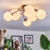 Chehalis Plafondlamp, Kogellampje Wit, 6-lichts