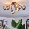 Chehalis Plafondlamp, Kogellampje Rookkleurig, 6-lichts