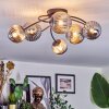 Chehalis Plafondlamp, Kogellampje Rookkleurig, 6-lichts