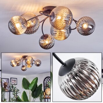 Chehalis Plafondlamp, Kogellampje Rookkleurig, 6-lichts