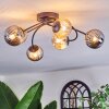 Chehalis Plafondlamp, Kogellampje Amber, Rookkleurig, 6-lichts