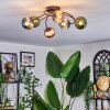 Chehalis Plafondlamp, Kogellampje 56 cm Blauw, Groen, Koperkleurig, 6-lichts