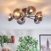 Chehalis Plafondlamp, Kogellampje 20 cm Duidelijk, Rookkleurig, 6-lichts Chehalis Plafondlamp, Kogellampje 20 cm Duidelijk, Rookkleurig, 6-lichts