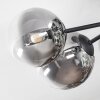 Chehalis Plafondlamp, Kogellampje 20 cm Duidelijk, Rookkleurig, 6-lichts Chehalis Plafondlamp, Kogellampje 20 cm Duidelijk, Rookkleurig, 6-lichts