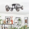 Chehalis Plafondlamp, Kogellampje 20 cm Duidelijk, Rookkleurig, 6-lichts Chehalis Plafondlamp, Kogellampje 20 cm Duidelijk, Rookkleurig, 6-lichts