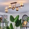 Chehalis Plafondlamp, Kogellampje Amber, Duidelijk, Rookkleurig, 8-lichts