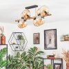 Koyoto Plafondlamp, Kogellampje Goud, Zwart, 8-lichts