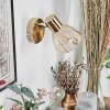 Saire Wandlamp, Muurspot Chroom, Messing, 1-licht
