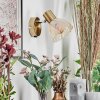 Saire Wandlamp, Muurspot Chroom, Messing, 1-licht