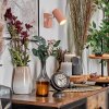 Javel Wandlamp, Muurspot Roze, Wit, 1-licht