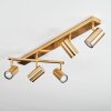 Javel Plafondlamp, Plafondspot Goud, 5-lichts