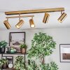 Javel Plafondlamp, Plafondspot Goud, 5-lichts