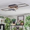 Hyacinthe Plafondlamp, Plafondventilator met verlichting LED Chroom, Zwart, 1-licht, Afstandsbediening