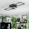 Hyacinthe Plafondlamp, Plafondventilator met verlichting LED Chroom, Zwart, 1-licht, Afstandsbediening