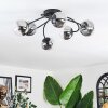 Chehalis Plafondlamp, Kogellampje 56 cm Duidelijk, Rookkleurig, 6-lichts Chehalis Plafondlamp, Kogellampje 56 cm Duidelijk, Rookkleurig, 6-lichts