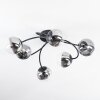 Chehalis Plafondlamp, Kogellampje 56 cm Duidelijk, Rookkleurig, 6-lichts Chehalis Plafondlamp, Kogellampje 56 cm Duidelijk, Rookkleurig, 6-lichts