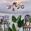 Chehalis Plafondlamp, Kogellampje 56 cm Duidelijk, Rookkleurig, 6-lichts Chehalis Plafondlamp, Kogellampje 56 cm Duidelijk, Rookkleurig, 6-lichts