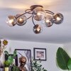 Chehalis Plafondlamp, Kogellampje 58 cm Duidelijk, Rookkleurig, 6-lichts