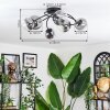 Chehalis Plafondlamp, Kogellampje 58 cm Duidelijk, Rookkleurig, 6-lichts