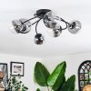 Chehalis Plafondlamp, Kogellampje 58 cm Duidelijk, Rookkleurig, 6-lichts