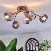 Chehalis Plafondlamp, Kogellampje 58 cm Duidelijk, Rookkleurig, 6-lichts