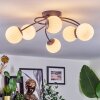 Chehalis Plafondlamp, Kogellampje Wit, 6-lichts