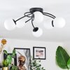 Chehalis Plafondlamp, Kogellampje Wit, 6-lichts