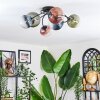 Chehalis Plafondlamp, Kogellampje 58 cm Blauw, Groen, Duidelijk, Koperkleurig, 6-lichts