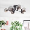 Chehalis Plafondlamp, Kogellampje 18 cm Rookkleurig, 6-lichts