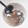 Chehalis Plafondlamp, Kogellampje 20 cm Rookkleurig, 6-lichts