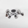 Chehalis Plafondlamp, Kogellampje 18 cm Duidelijk, Rookkleurig, 6-lichts