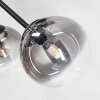 Chehalis Plafondlamp, Kogellampje 18 cm Duidelijk, Rookkleurig, 6-lichts Chehalis Plafondlamp, Kogellampje 18 cm Duidelijk, Rookkleurig, 6-lichts