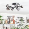 Chehalis Plafondlamp, Kogellampje Duidelijk, Rookkleurig, 6-lichts
