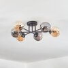 Chehalis Plafondlamp, Kogellampje Amber, Rookkleurig, 6-lichts Chehalis Plafondlamp, Kogellampje Amber, Rookkleurig, 6-lichts