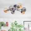 Chehalis Plafondlamp, Kogellampje Amber, Rookkleurig, 6-lichts Chehalis Plafondlamp, Kogellampje Amber, Rookkleurig, 6-lichts