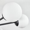 Chehalis Plafondlamp, Kogellampje Wit, 6-lichts