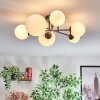 Chehalis Plafondlamp, Kogellampje Wit, 6-lichts