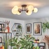 Chehalis Plafondlamp, Kogellampje Wit, 6-lichts