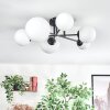 Chehalis Plafondlamp, Kogellampje Wit, 6-lichts