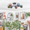 Chehalis Plafondlamp, Kogellampje Blauw, Groen, Koperkleurig, 6-lichts