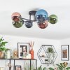 Chehalis Plafondlamp, Kogellampje Blauw, Groen, Koperkleurig, 6-lichts