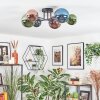 Chehalis Plafondlamp, Kogellampje Blauw, Groen, Koperkleurig, 6-lichts