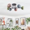 Chehalis Plafondlamp, Kogellampje Blauw, Groen, Duidelijk, Koperkleurig, 6-lichts