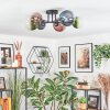 Chehalis Plafondlamp, Kogellampje Blauw, Groen, Duidelijk, Koperkleurig, 6-lichts