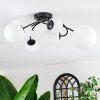 Chehalis Plafondlamp, Kogellampje 60 cm Wit, 6-lichts