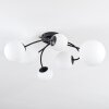 Chehalis Plafondlamp, Kogellampje 60 cm Wit, 6-lichts